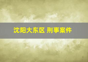 沈阳大东区 刑事案件